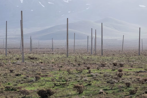 Nazaei  نازایی