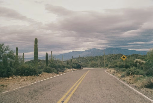 Dark Desert Highway