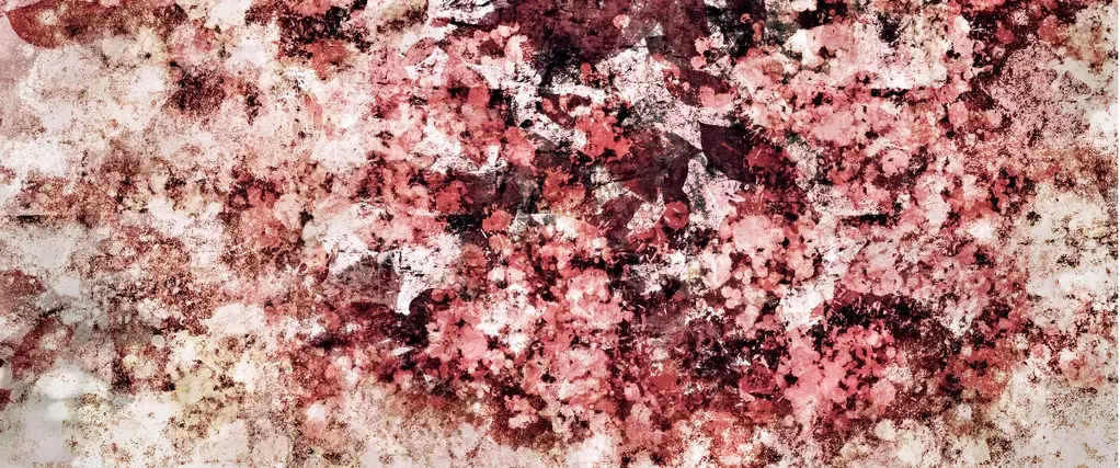 user-banner
